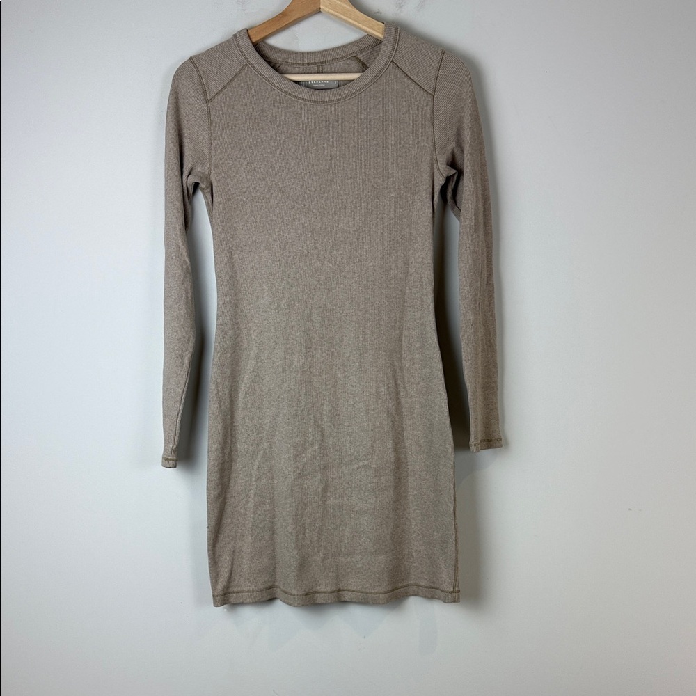 Everlane Taupe Long Sleeve Dress